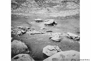 173- ARMEE DE L'AIR EN ALGERIE 1945-1962-21 (64)